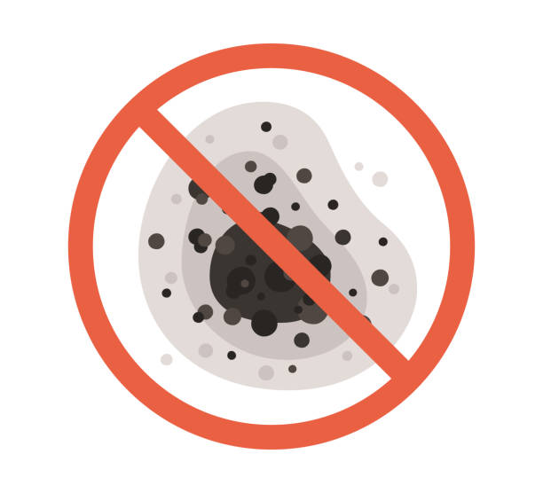  Oracle, AZ Mold Removal Pros