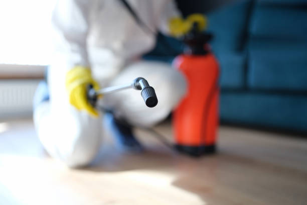 Best HVAC Mold Inspection and Cleaning  in Oracle, AZ